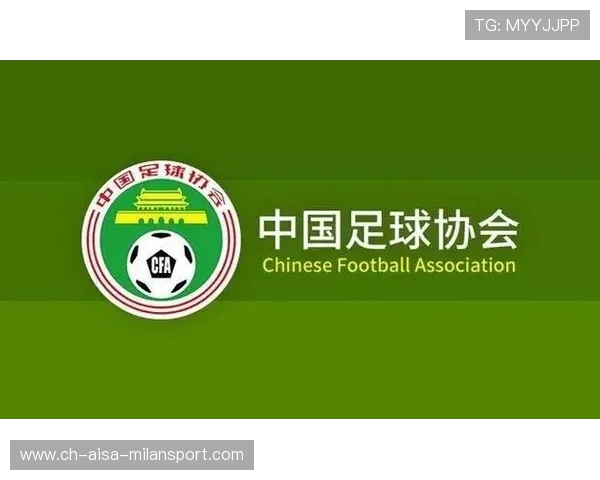 中超联赛技术统计平台全面升级助力教练科学决策与战术优化提升 中超联赛技术统计平台全面升级助力教练科学决策与战术优化提升